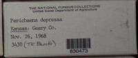 Image Associated With the Occurence